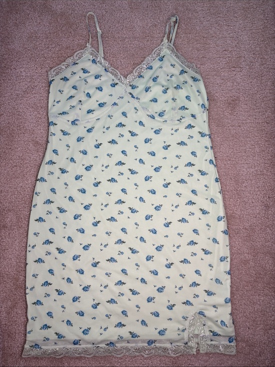 wild fable Other - Wild Fable Women's Green Floral Slip Dress with Blue Rose Print